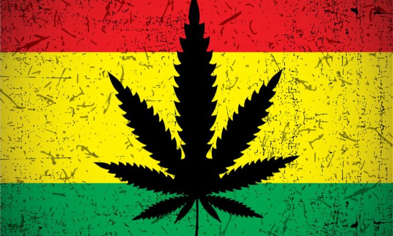 Dig Ganja And Reggae Heres How To Support Jamaican Cannabis 416cannaca